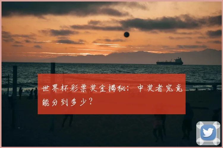 世界杯彩票奖金揭秘:中奖者究竟能分到多少?