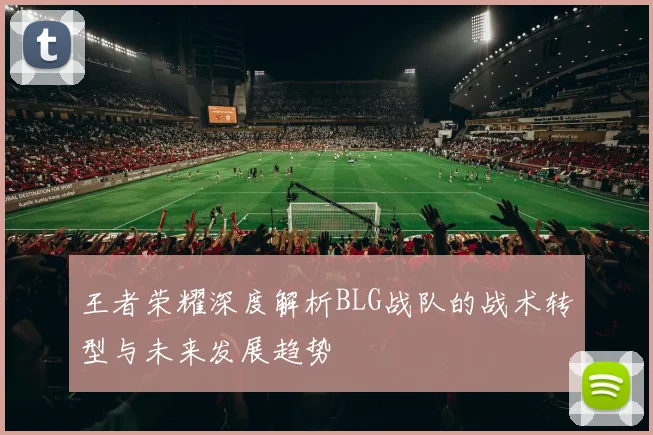 王者荣耀深度解析BLG战队的战术转型与未来发展趋势