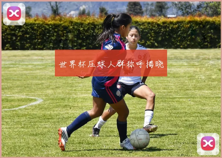 世界杯压球人群称呼揭晓