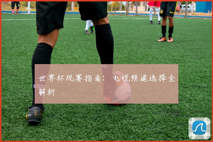 世界杯观赛指南：电视频道选择全解析