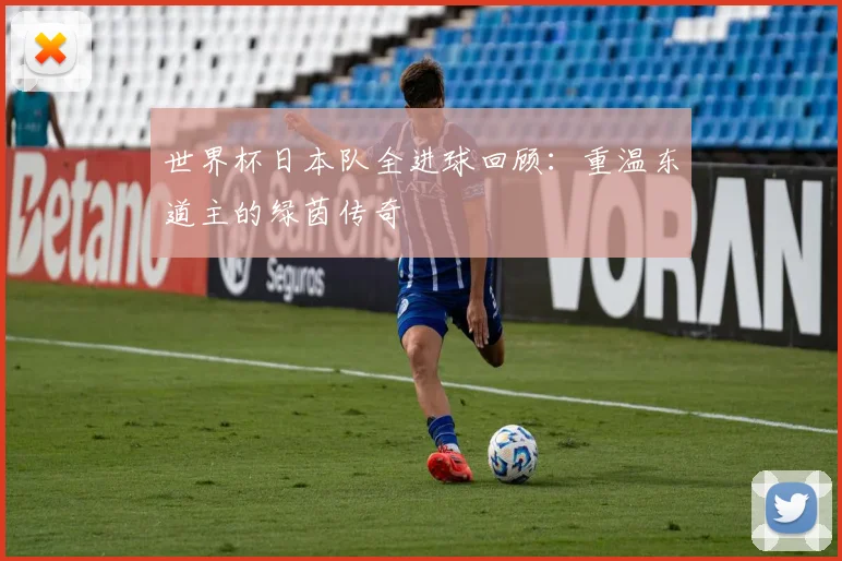 世界杯日本队全进球回顾：重温东道主的绿茵传奇