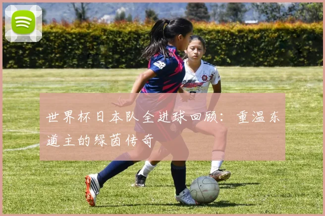 世界杯日本队全进球回顾：重温东道主的绿茵传奇