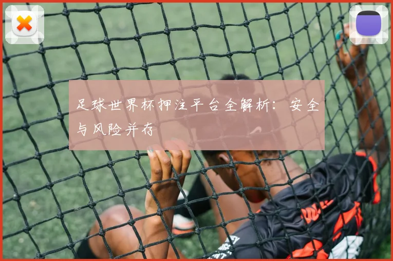 足球世界杯押注平台全解析:安全与风险并存