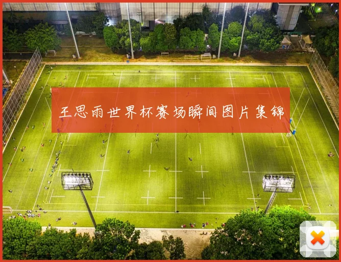 王思雨世界杯赛场瞬间图片集锦