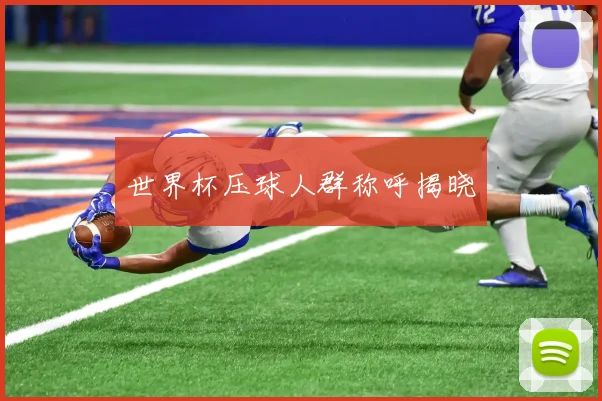 世界杯压球人群称呼揭晓