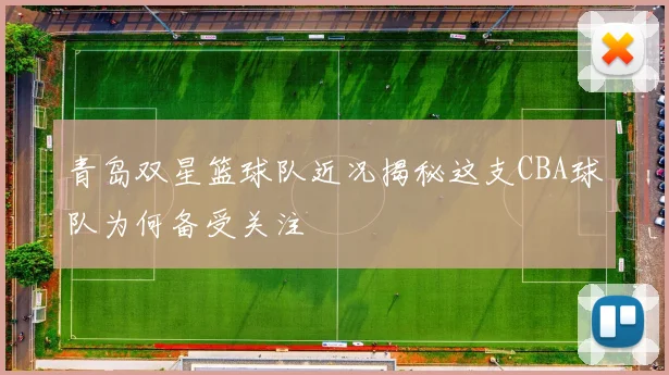 青岛双星篮球队近况揭秘这支CBA球队为何备受关注
