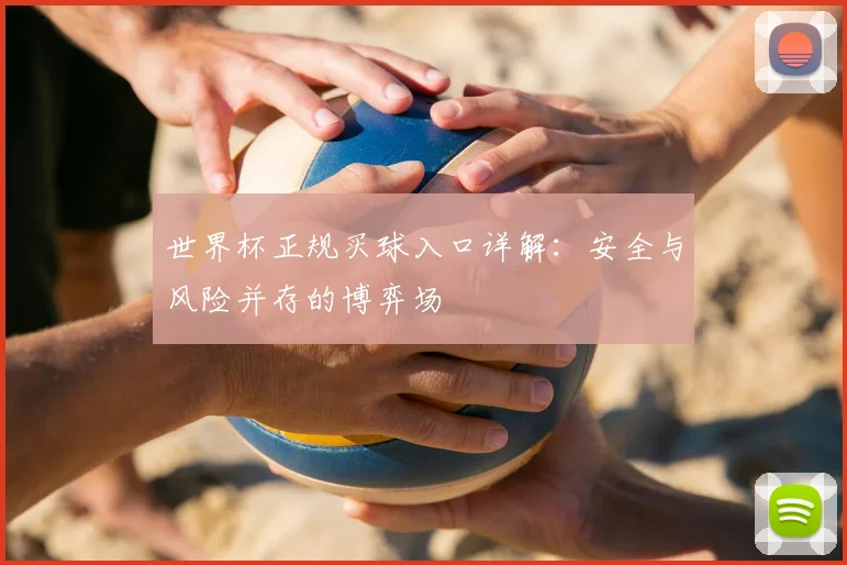 世界杯正规买球入口详解：安全与风险并存的博弈场