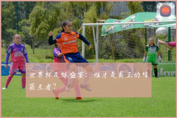 世界杯足球盛宴:谁才是真正的绿茵王者?