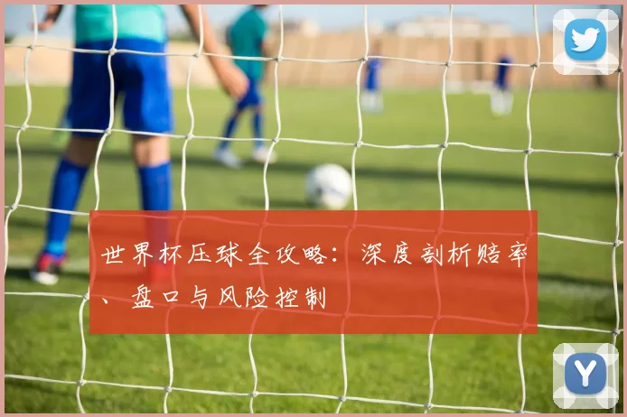世界杯压球全攻略：深度剖析赔率、盘口与风险控制