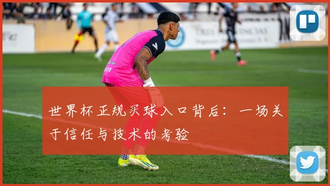 世界杯正规买球入口背后：一场关于信任与技术的考验