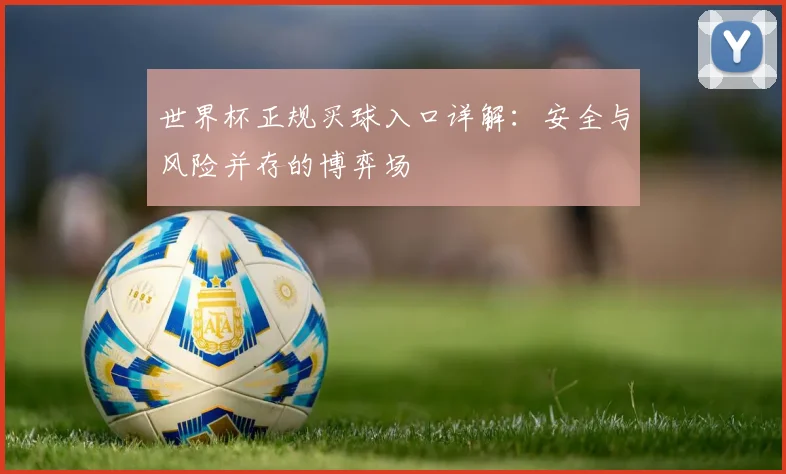 世界杯正规买球入口详解：安全与风险并存的博弈场