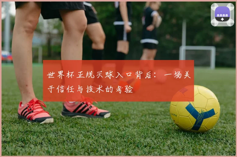 世界杯正规买球入口背后：一场关于信任与技术的考验